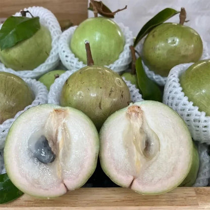 Vietnam Milk Melon Fruit Seeds - Premium Quality Planting Seeds for a Tropical Delight