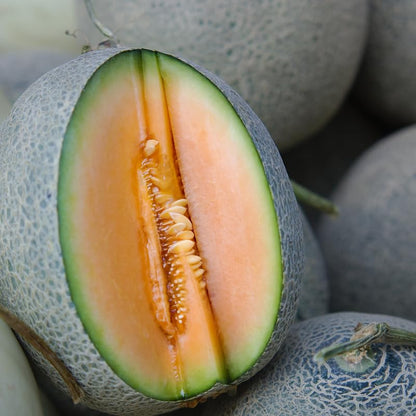 Muskmelon Seeds for Planting Cucumis Melo fruit garden vegetable patch