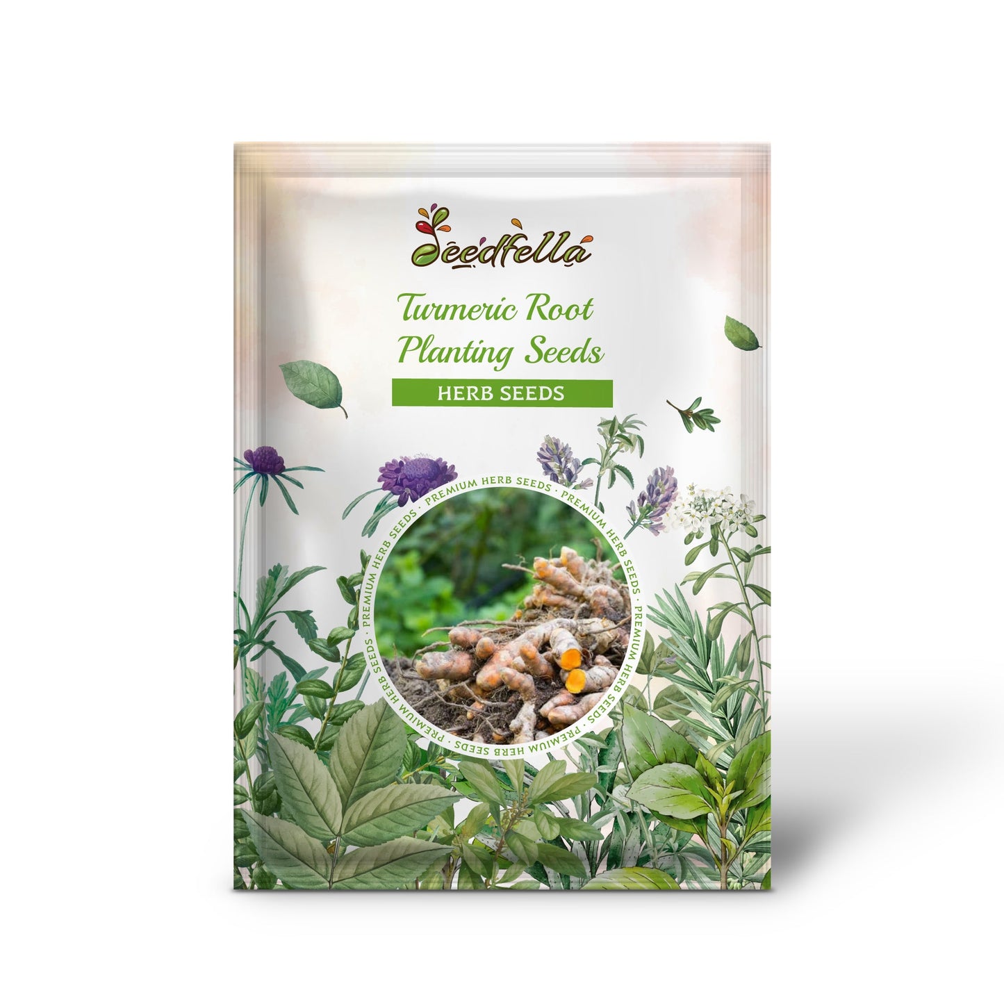 Turmeric Root Planting Seeds for Healing