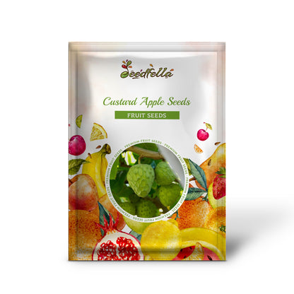Custard Apple Seeds for Planting - Cherimoya Seeds - Non-GMO Tropical Fruit Tree Seeds for Home Garden and Bonsai