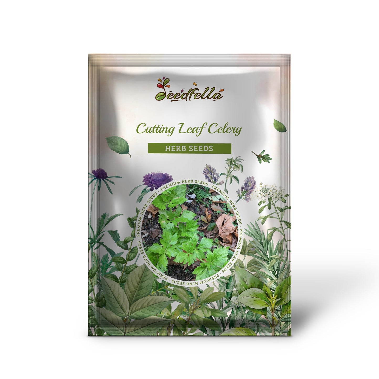 Cutting Leaf Celery (Apium graveolens) Soup Vegetable Herb Seeds