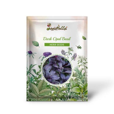 Dark Opal Basil (Ocimum basilicum) Purple Ruffles Herb Flower Seeds