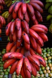 Dark Red Banana Fruit Seeds For Planting Grow Sweet And Delicious Bananas heirloom non-gmo organic garden seeds