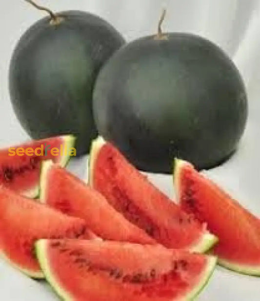 Densuke Watermelon Seeds For Planting | Grow Sweet And Juicy Watermelons At Home heirloom non-gmo organic garden seeds