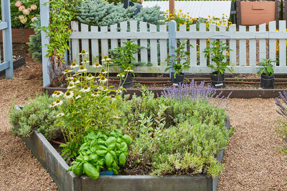 Your Deluxe Herb Garden