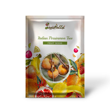 Italian Persimmon Tree (Diospyros lotus) Dateplum Fruit Seeds