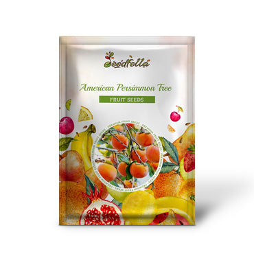 American Persimmon Tree (Diospyros virginiana) Fruit Seeds