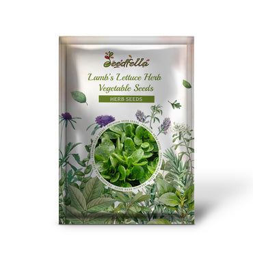 Dutch Corn Salad (Valerianella locusta) Lamb’s Lettuce Herb Vegetable Seeds