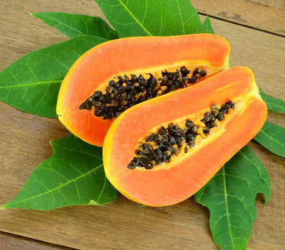 Dwarf Papaya Carica Papaya Fruit Seeds For Planting For Tropical Garden heirloom non-gmo organic garden seeds