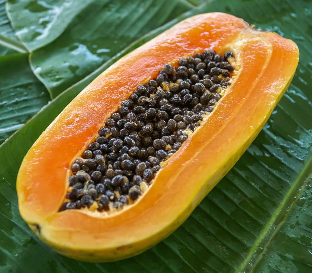 Dwarf Sweet Papaya Carica Papaya Fruit Seeds For Planting In Tropical Garden heirloom non-gmo organic garden seeds