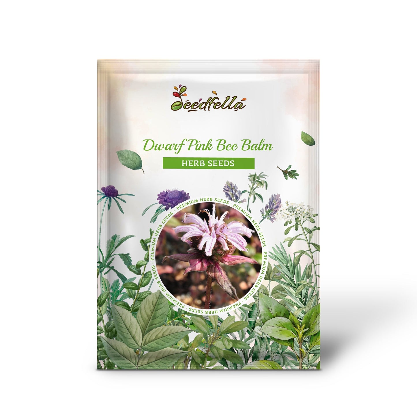 Zwergrosa Bienenbalsam (Monarda Bradburiana) Östlicher Bienenbalsam Kräuterblumensamen