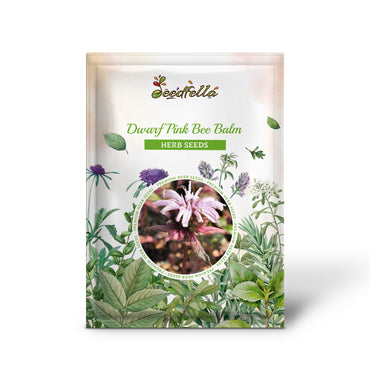 Dwarf Pink Bee Balm (Monarda Bradburiana) Eastern Beebalm Herb Flower Seeds