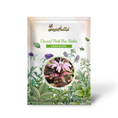 Zwergrosa Bienenbalsam (Monarda Bradburiana) Östlicher Bienenbalsam Kräuterblumensamen