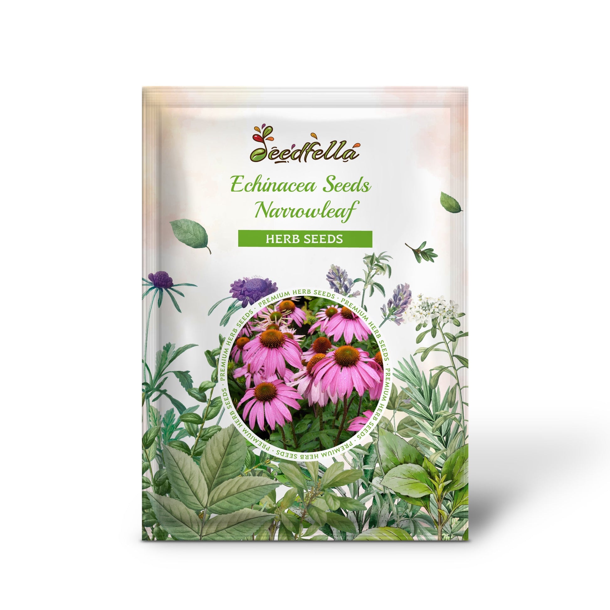 echinacea herb seeds Echinacea Seeds Narrowleaf Echinacea Angustifolia Organic Garden Seeds – Pure Asia Seeds