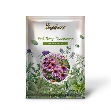 Pink Baby Coneflower (Echinacea pallida) Flower Seeds