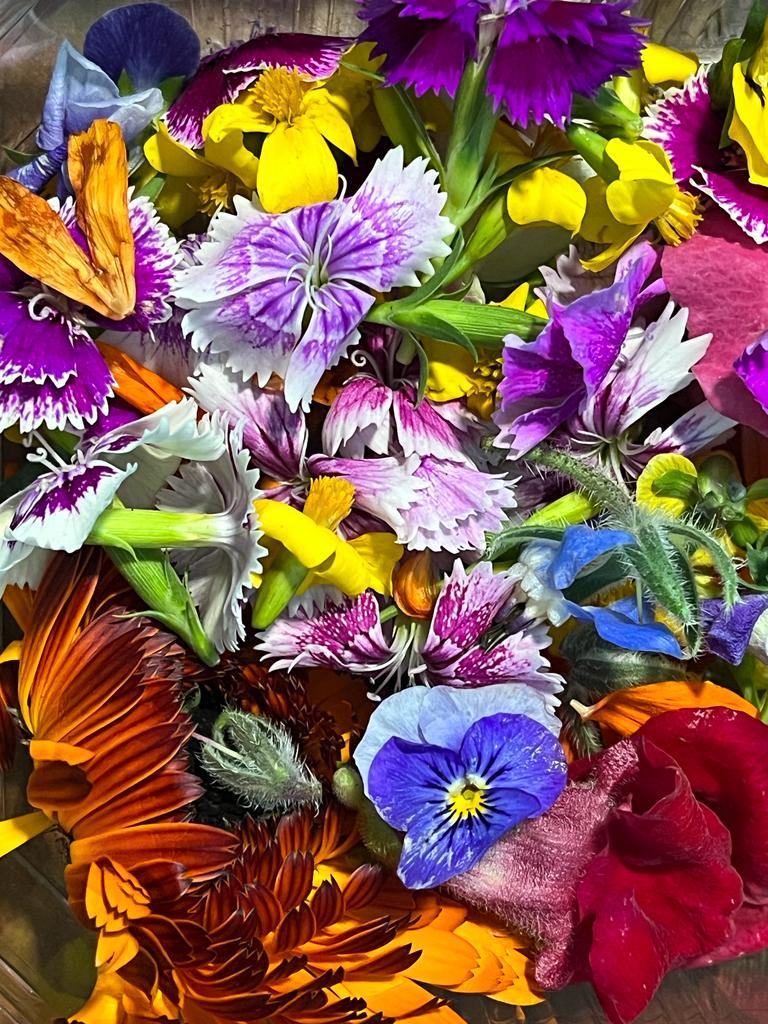 Edible Flower Mix Seeds - 16 Varieties: Marigold, Daisy, Viola, Safflower, Alyssum, Hyssop, Hollyhock, Cornflower, Sweet William, Nasturtium, Basil & More