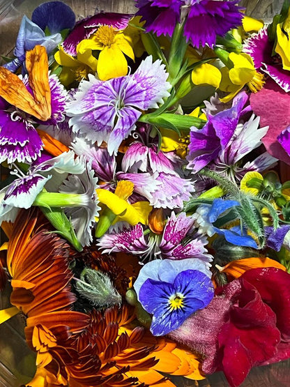 Edible Flower Mix Seeds - 16 Varieties: Marigold, Daisy, Viola, Safflower, Alyssum, Hyssop, Hollyhock, Cornflower, Sweet William, Nasturtium, Basil & More