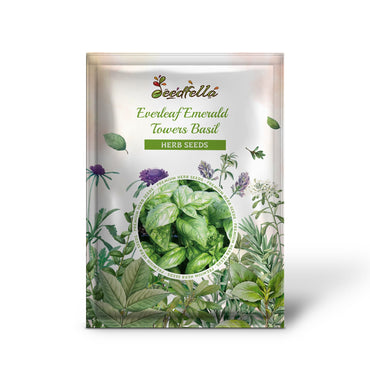 Everleaf Emerald Towers Basil (Ocimum basilicum) Seeds