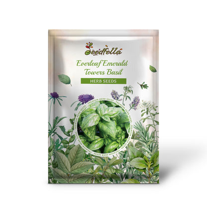 Everleaf Emerald Towers Basil (Ocimum basilicum) Seeds