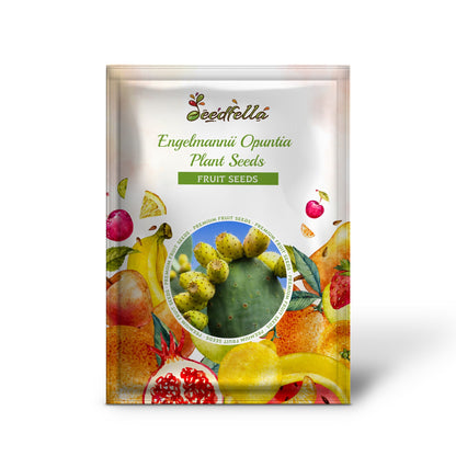 Engelmannii Opuntia Plant Seeds for Easy Planting