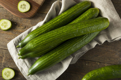 English Cucumber Cucumis Sativus 'Burpless' Seeds heirloom non-gmo organic garden seeds
