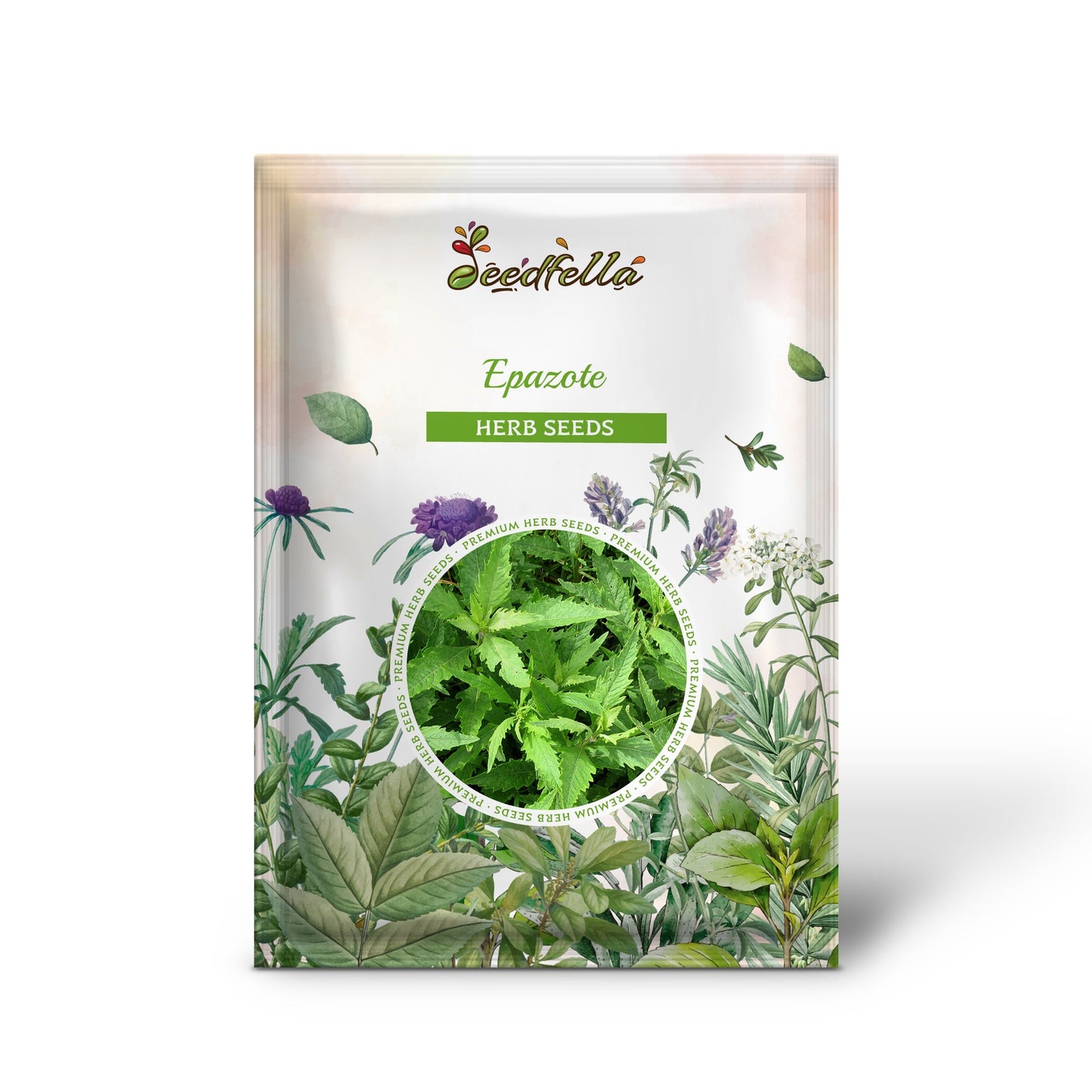 Epazote (Mexican Tea) (Chenopodium Ambrosioides) Dysphania Herb Flower Seeds