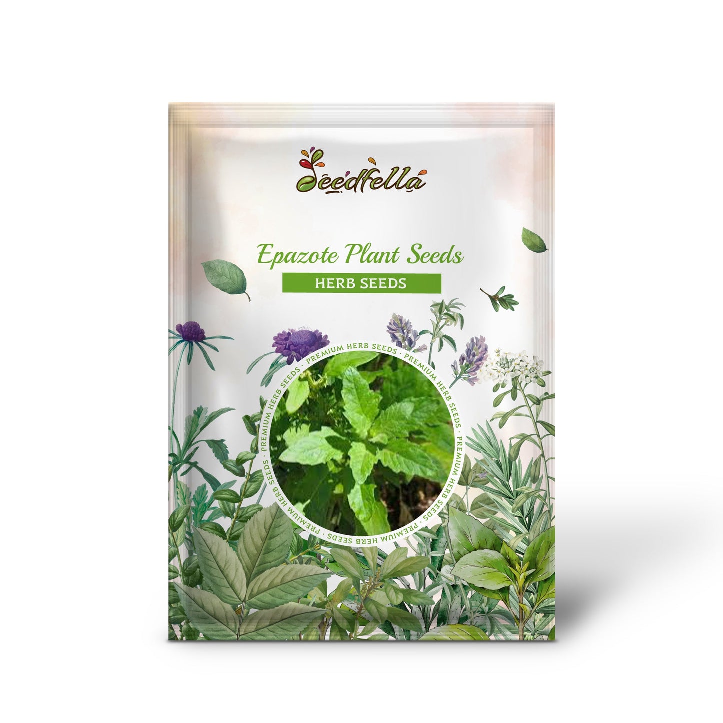 Epazote Plant Seeds for Herbaceous Planting