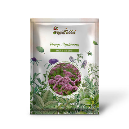 Hemp Agrimony (Eupatorium cannabinum) Raspberries & Cream Flower Seeds
