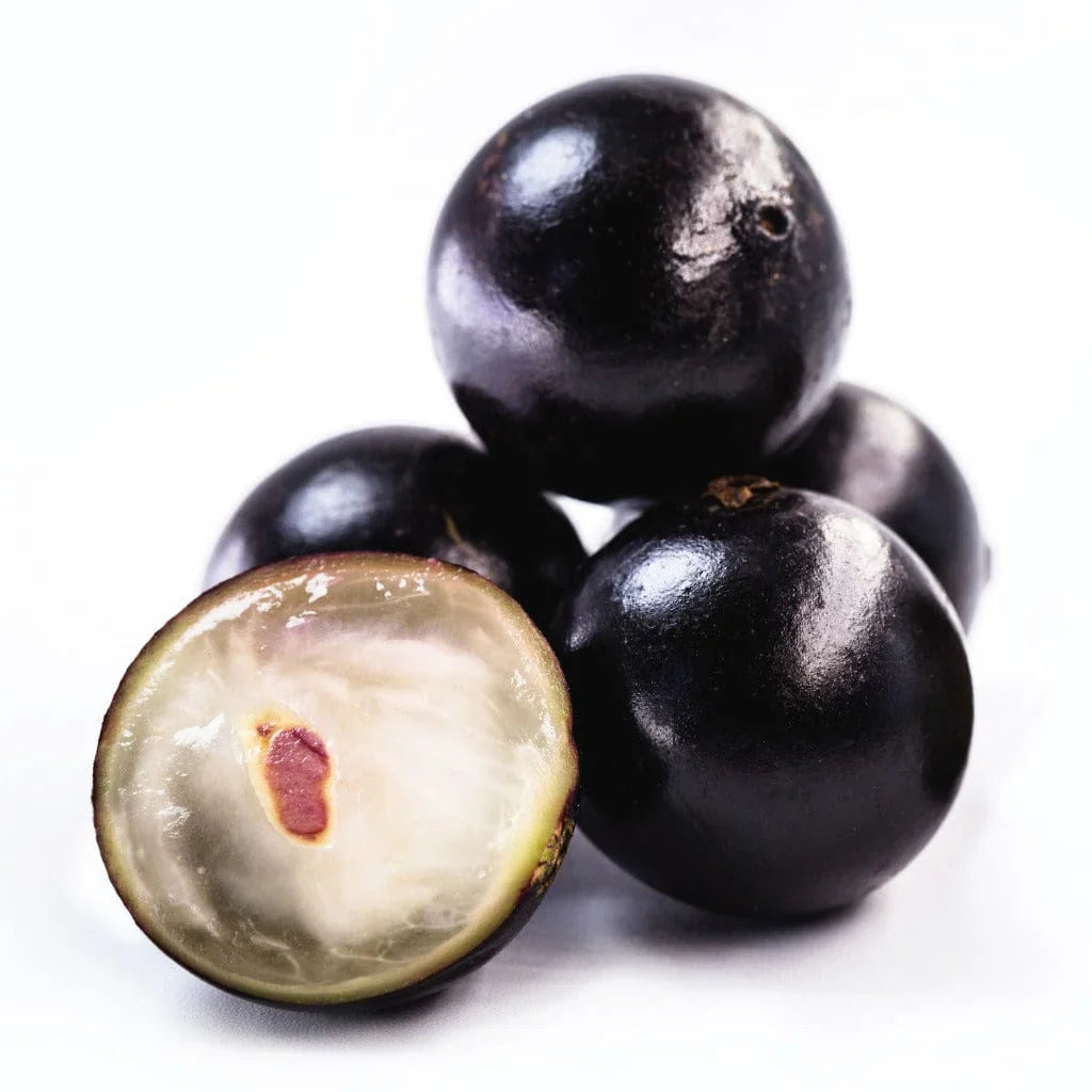Black Jabuticaba Fruit Seeds for Planting - Grow Unique Edible Fruits