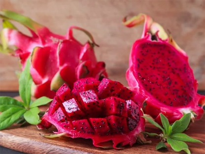 Pitaya Fruit Seeds for Planting - Add Unique Flavor to Your Garden