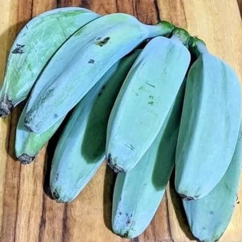 有機庭園用植え付けライトブルーバナナ果実の種 – Pure Asia Seeds