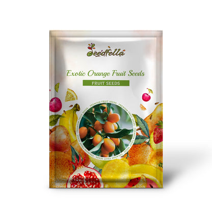 Exotic Orange Fruit Seeds for Planting: Brighten Your Garden
