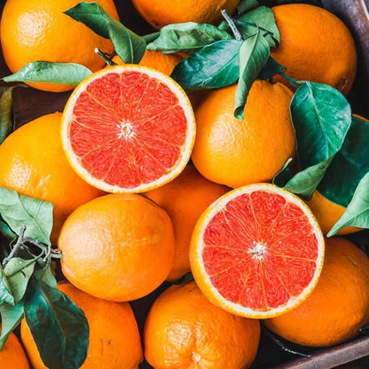 Exotic Orange Fruit Seeds For Planting: Brighten Your Garden heirloom non-gmo organic garden seeds