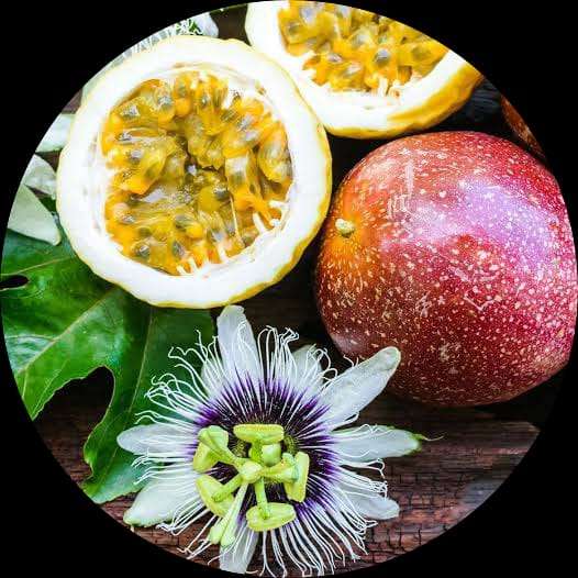 Dark Red Passion Fruit Seeds for Planting - Savor Sweet Exotic Fruits