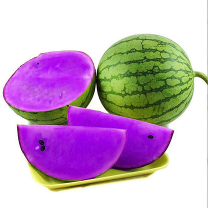 Exotic Violet Watermelon Seeds for Striking Garden Settings