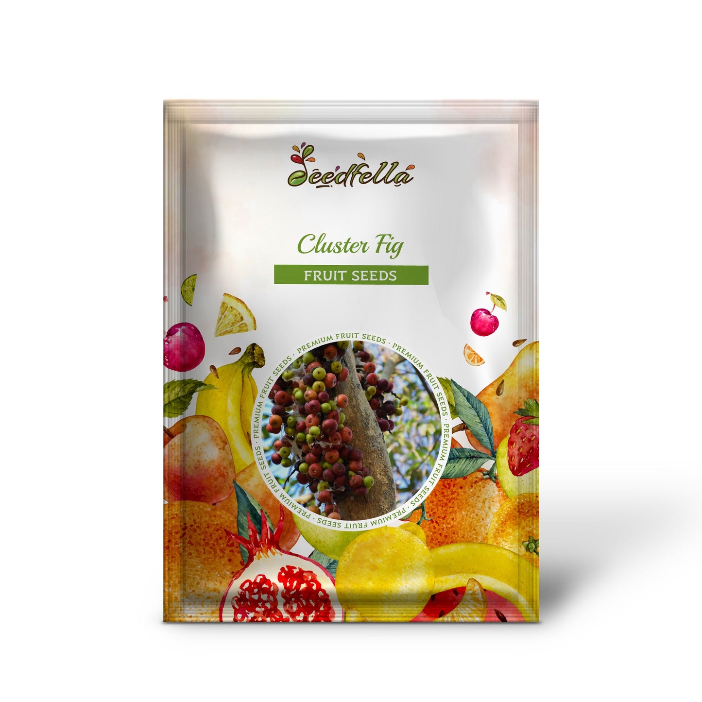 Cluster Fig (Ficus Racemosa) Red River Indian Guilar Tree Houseplant Seeds