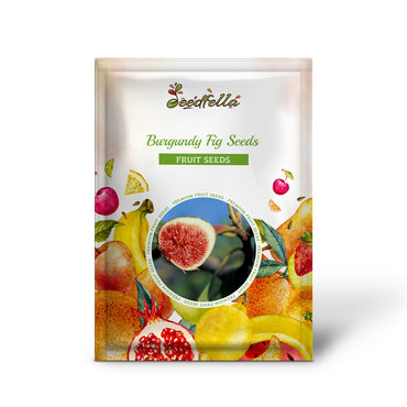 Burgundy Fig Seeds for Planting