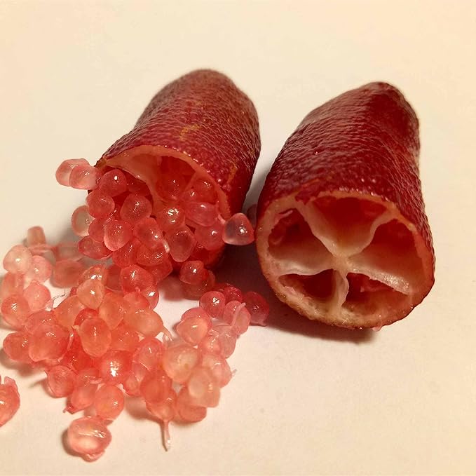 Ice Pink Finger Lime Fruit Seeds, Pomegranate for Balcony Plants