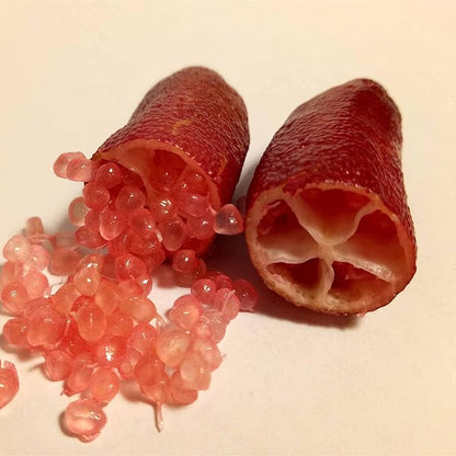 Ice Pink Finger Lime Fruit Seeds, Pomegranate for Balcony Plants