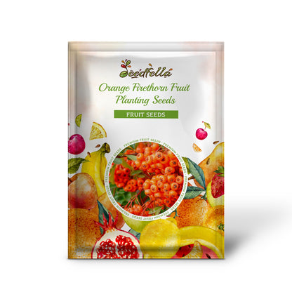 Orange Firethorn Fruit Planting Seeds - Vibrant Color & Wildlife Attraction