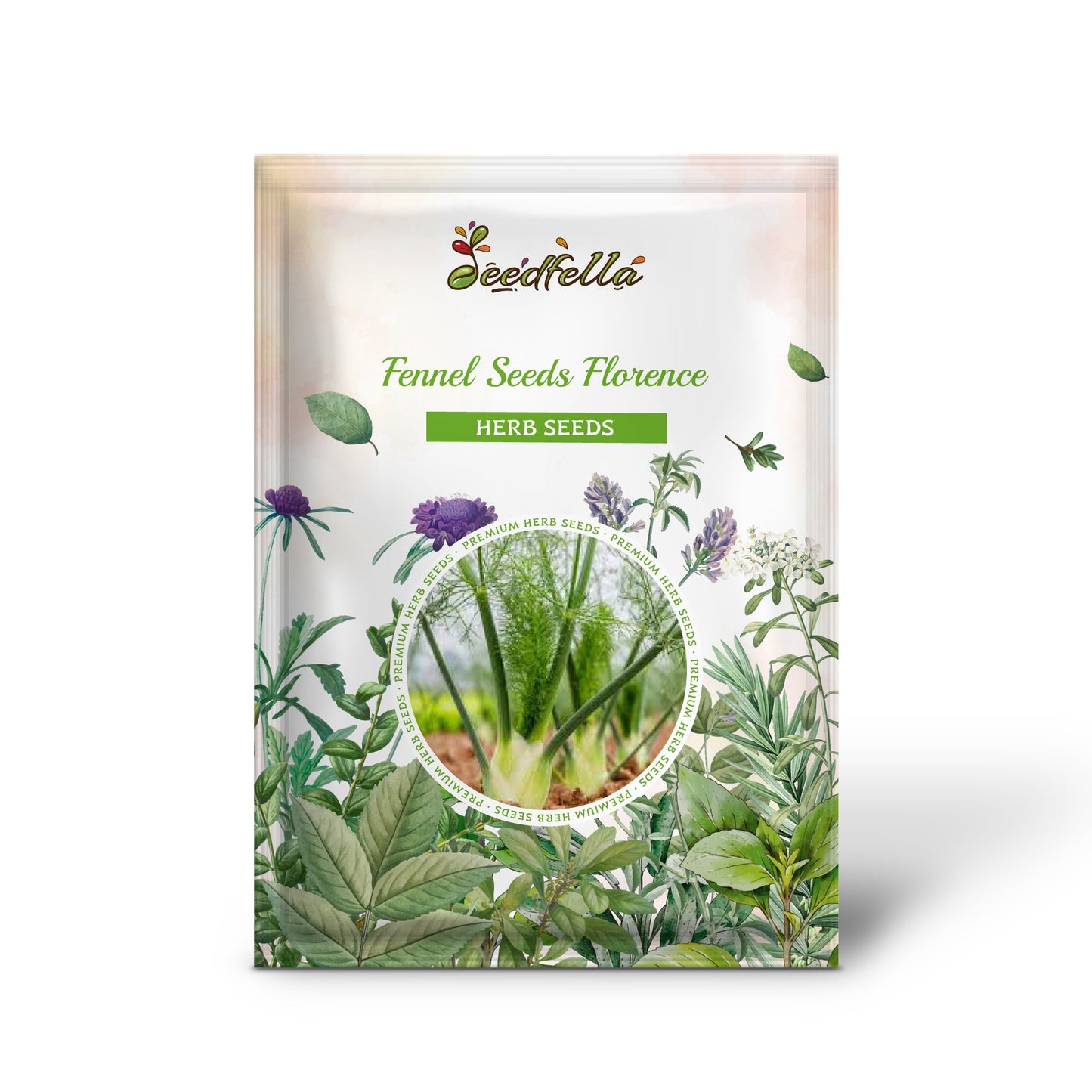 Fennel Seeds - Florence (Foeniculum vulgare var. azoricum)