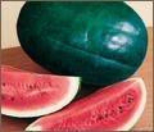 Florida Giant Watermelon Cannon Ball, Black Diamond Citrullus Fruit Seeds heirloom non-gmo organic garden seeds