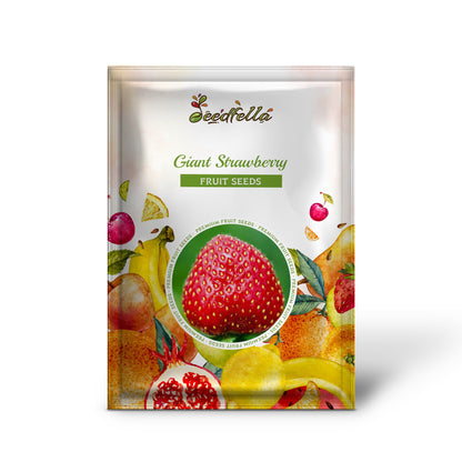 Giant Strawberry (Fragaria spp.) June Bearing Huge Red Berry Fruit White Flower Seeds