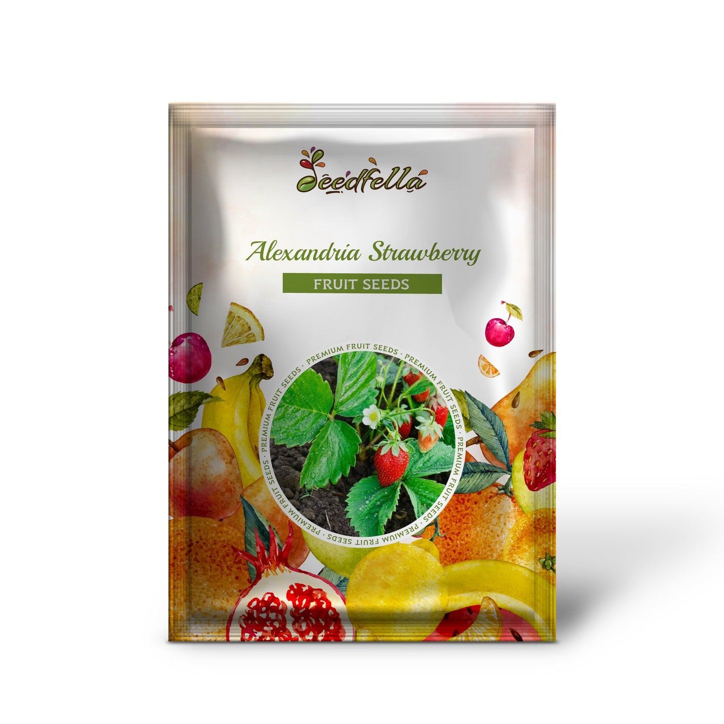 Alexandria Strawberry (Everbearing Alpine Fragaria vesca) Red Berry Fruit & White Flower Seeds