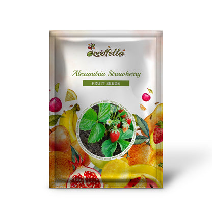 Alexandria Strawberry (Everbearing Alpine Fragaria vesca) Red Berry Fruit & White Flower Seeds