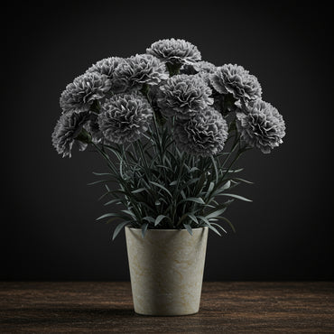 Gray Carnation Flower Seeds: Planting Guide for Successful Growth