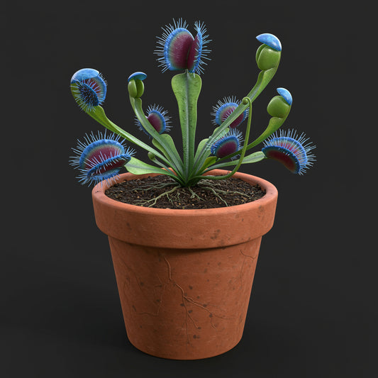 Blue Insectivorous Plant Seeds for Planting Guide