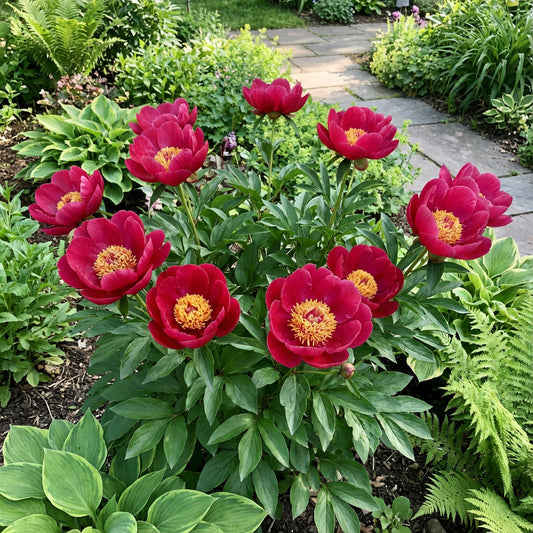 Walter Mains Flower Seeds: Planting Vibrant Pink & Yellow for Striking Gardens