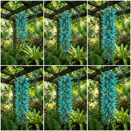 Strongylodon Macrobotrys Flower Seeds Planting Orange