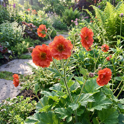 Geum Flower Planting Seeds  Vibrant Perennial Blooms for Your Garden